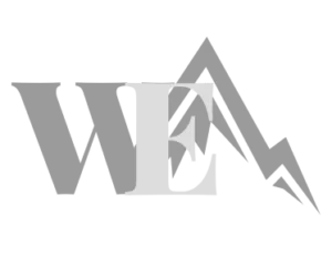 Weldon Enterprises logo 2
